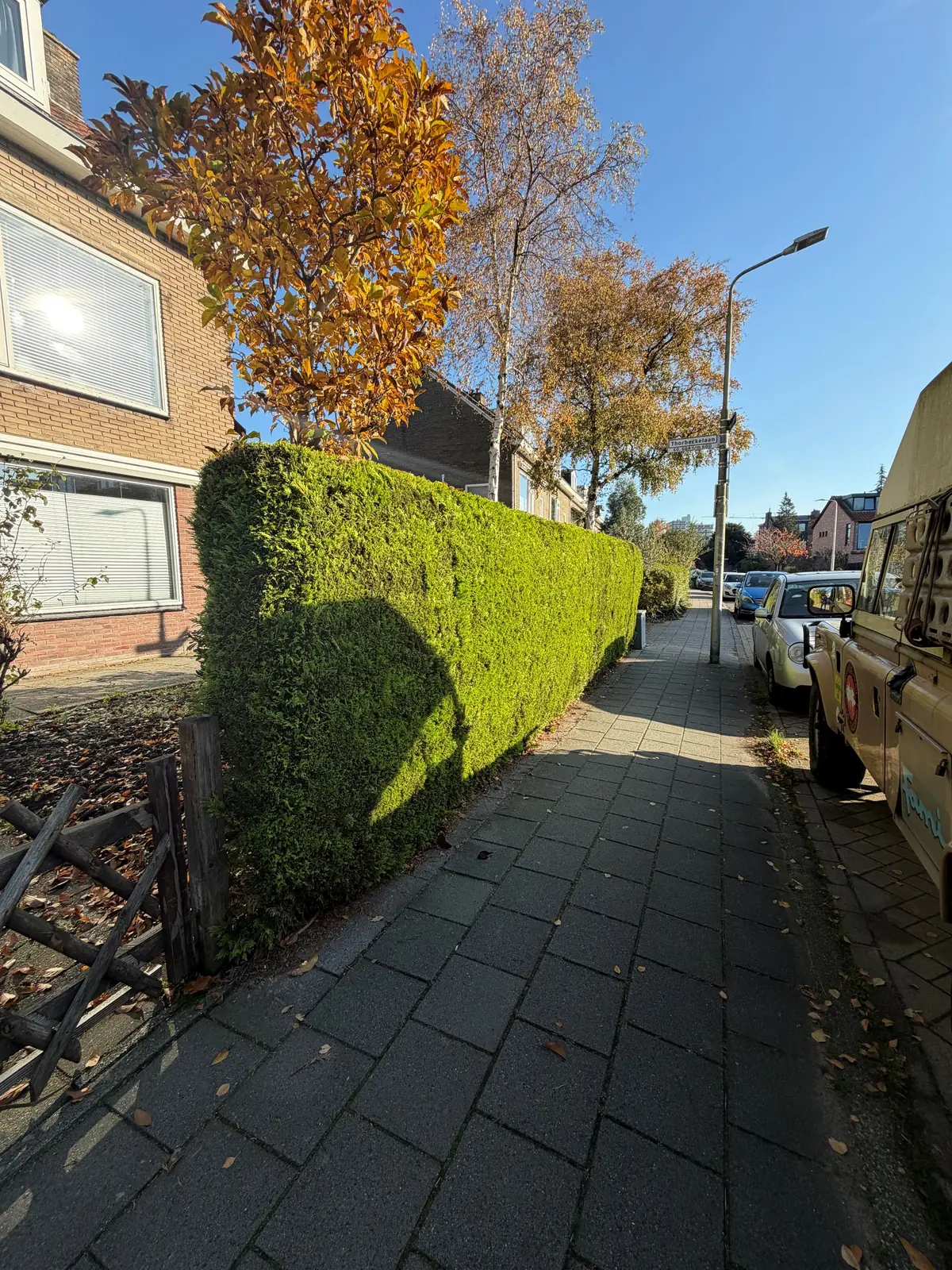 Afbeelding 21 van 22