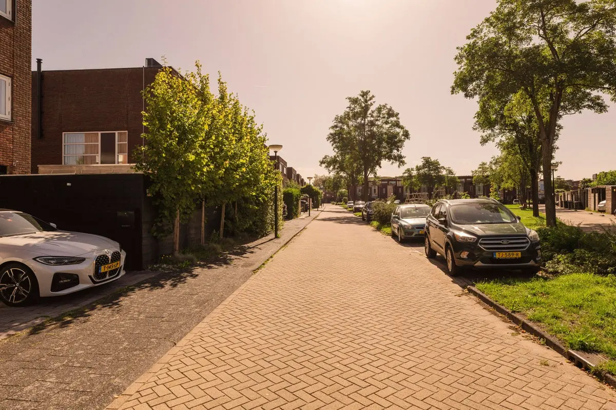 Afbeelding 55 van 65