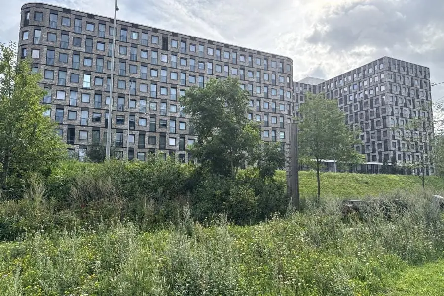 Image 17 of 20