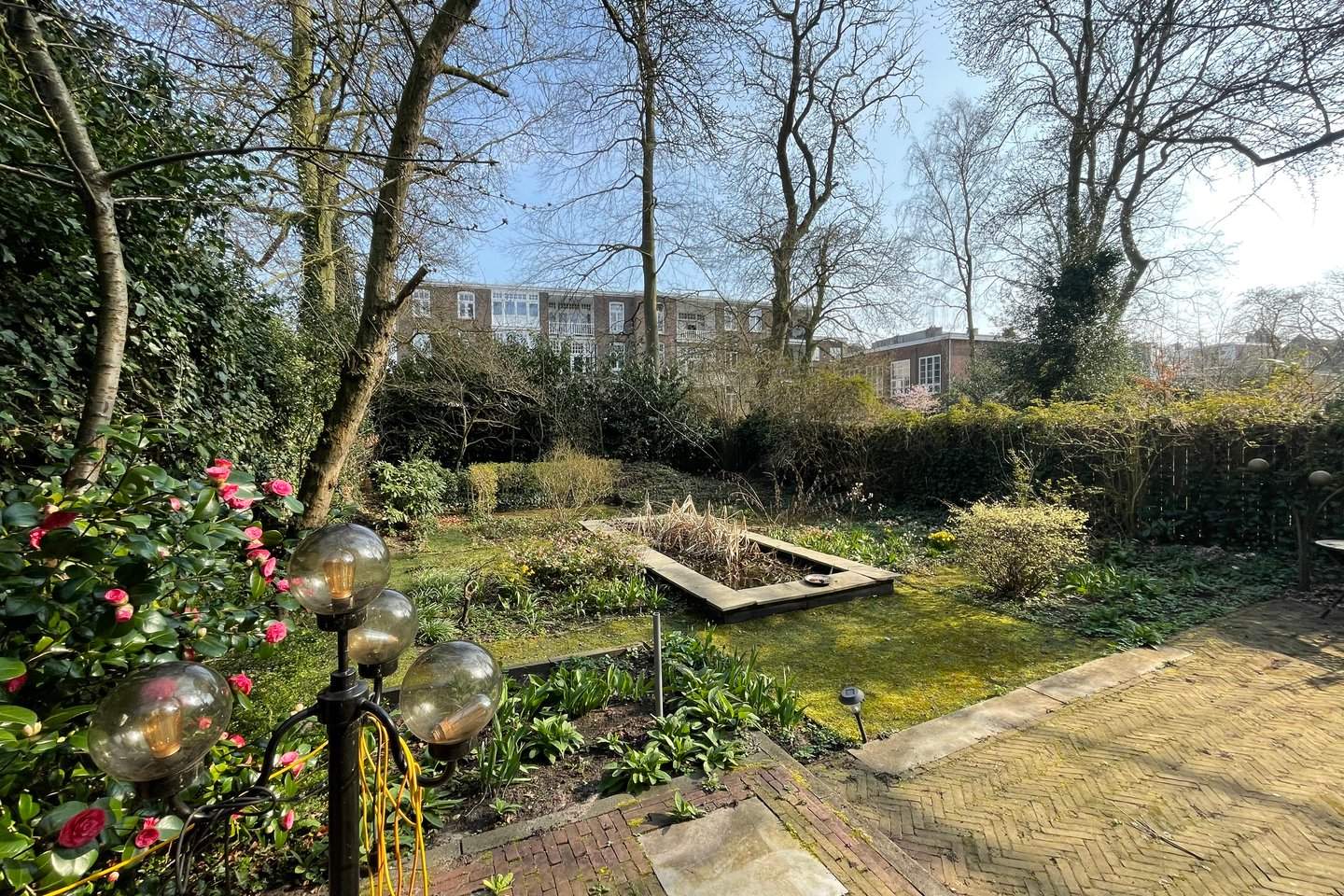 Image 2 of 12