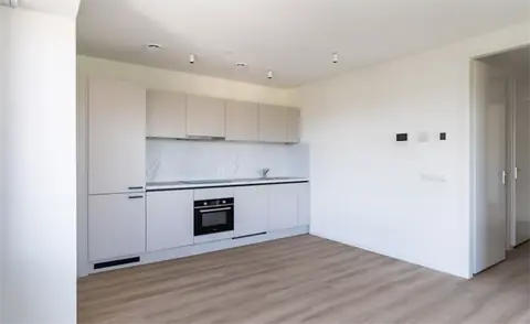Apartment Louis Couperusplein, The Hague - For Rent