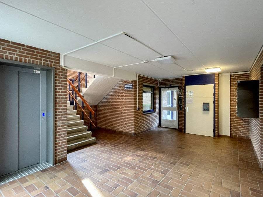 Image 2 of 11