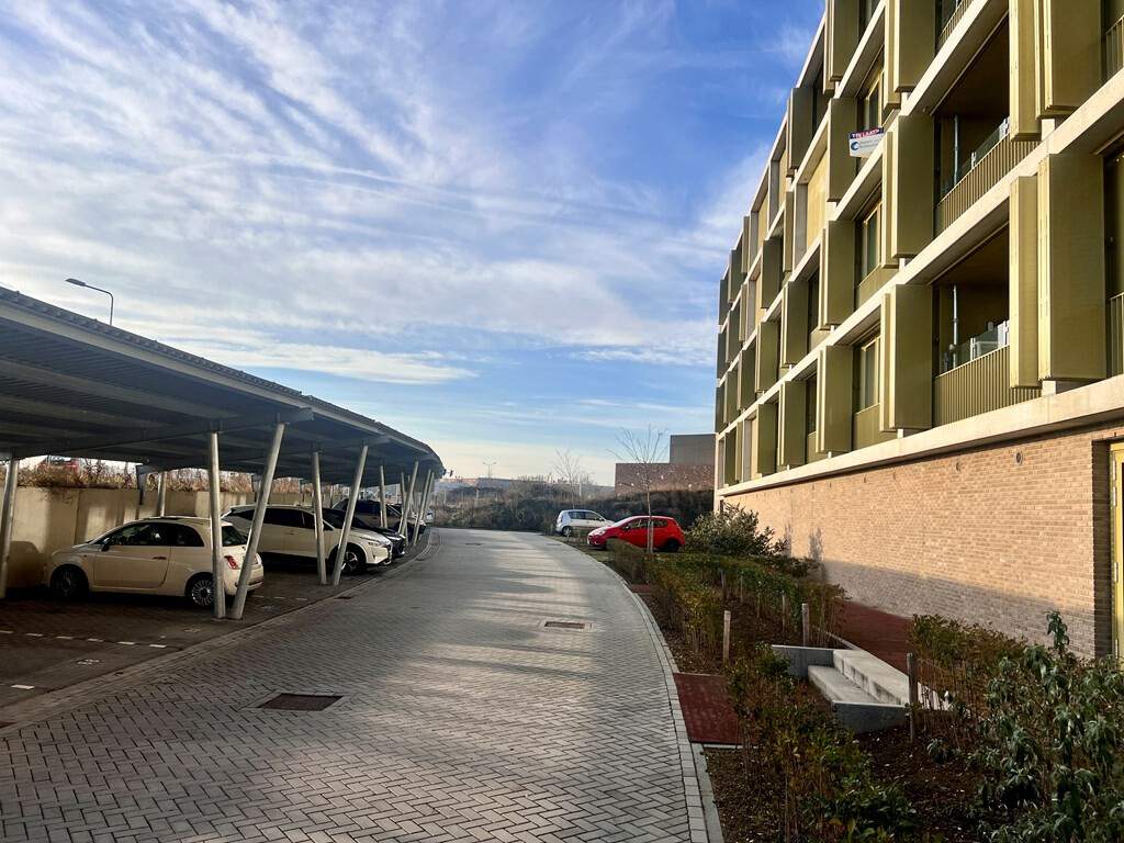 Image 22 of 24