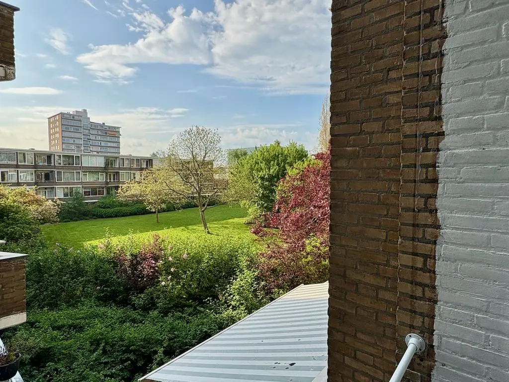 Image 18 of 21