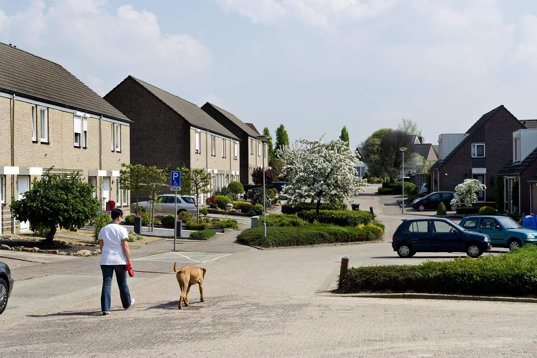 Afbeelding 2 van 3