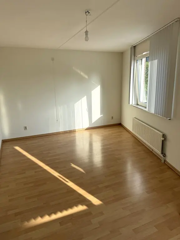 Image 12 of 24