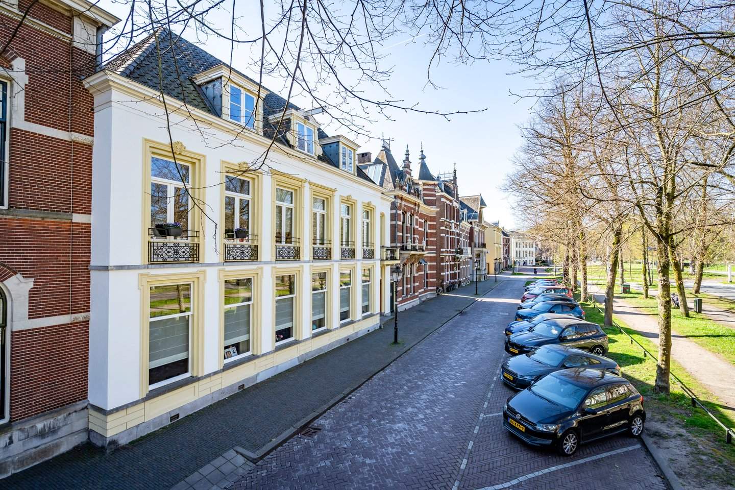 Afbeelding 3 van 12