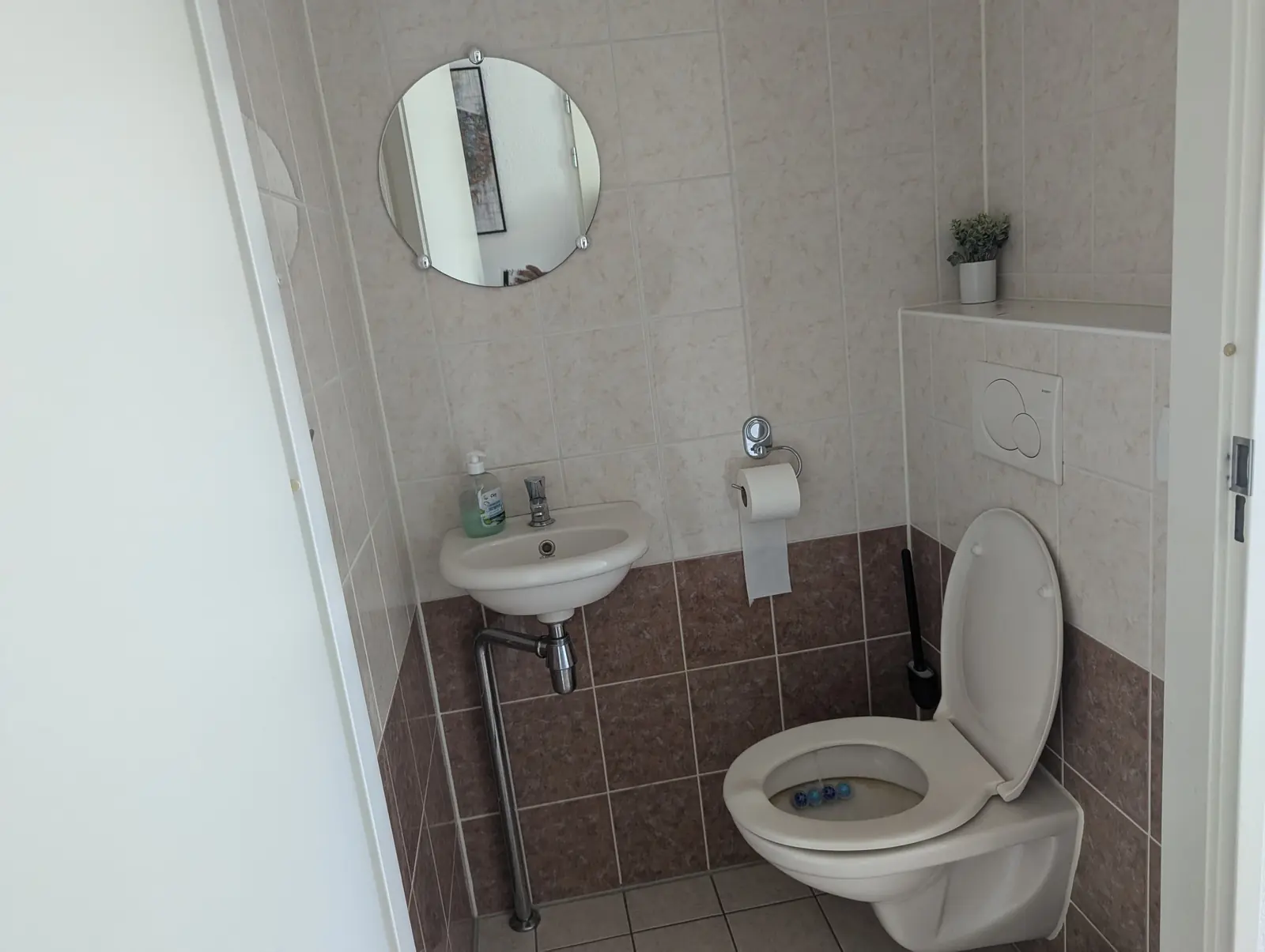 Image 7 of 7