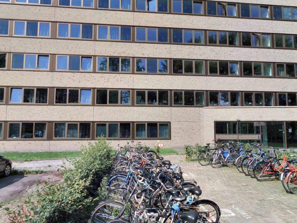Bild 1 von 14
