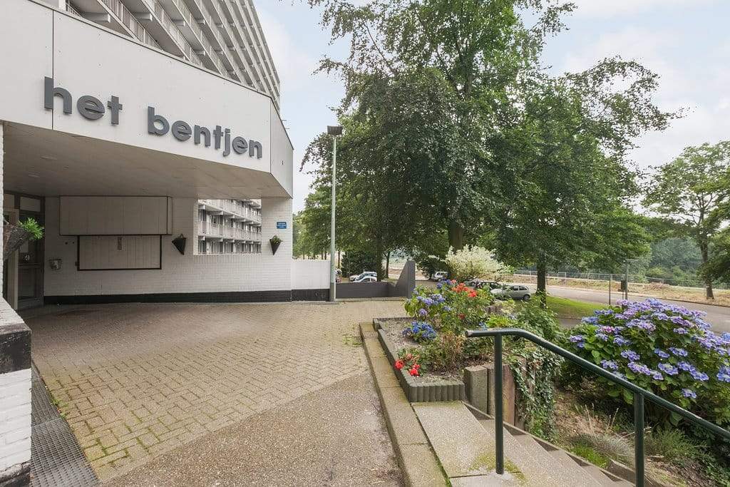 Afbeelding 2 van 12
