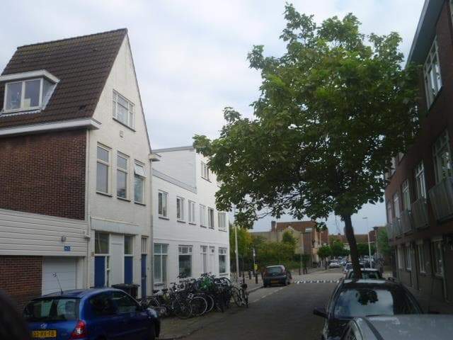 Afbeelding 7 van 7