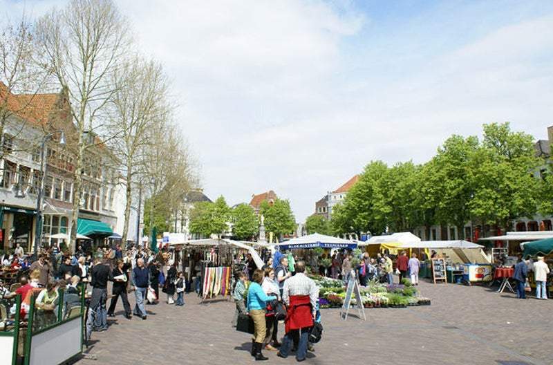 Afbeelding 2 van 15