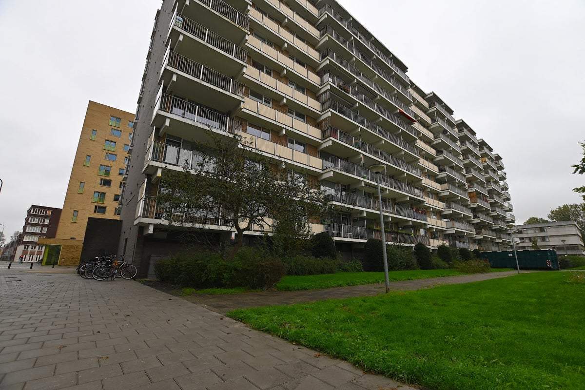 Afbeelding 1 van 17