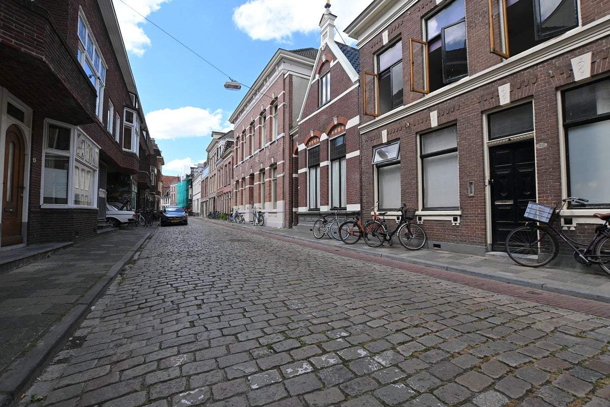 Afbeelding 2 van 23