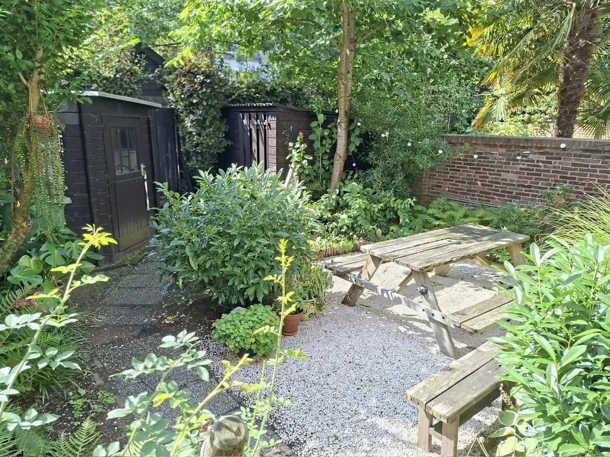 Image 20 of 23