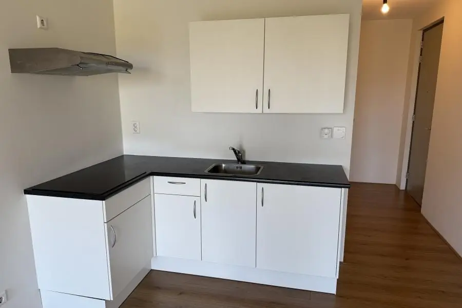 Image 12 of 20