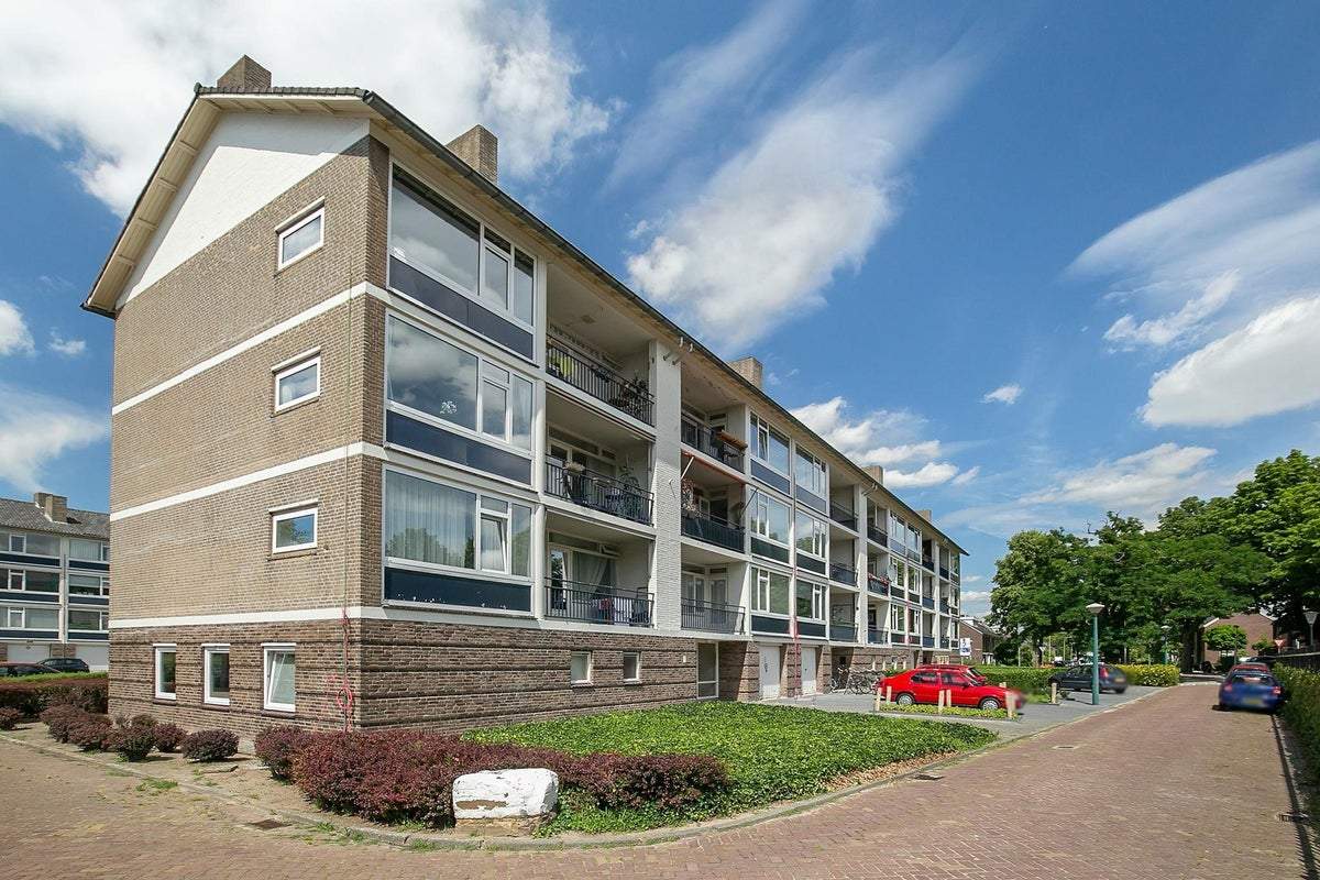 Afbeelding 1 van 15
