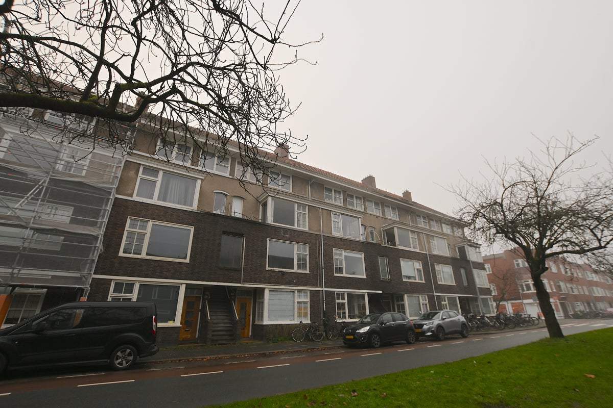 Afbeelding 1 van 11