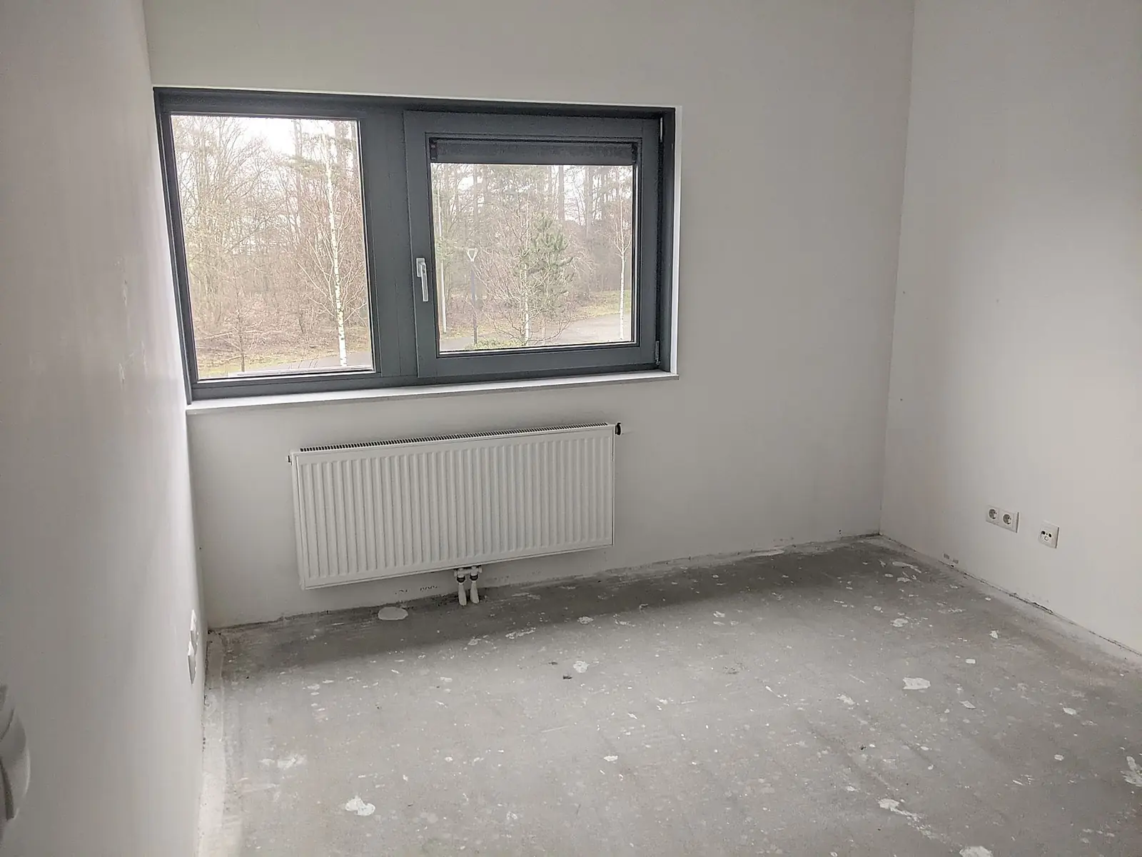 Image 4 of 8