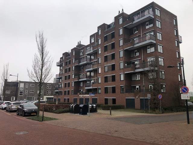 Afbeelding 1 van 12