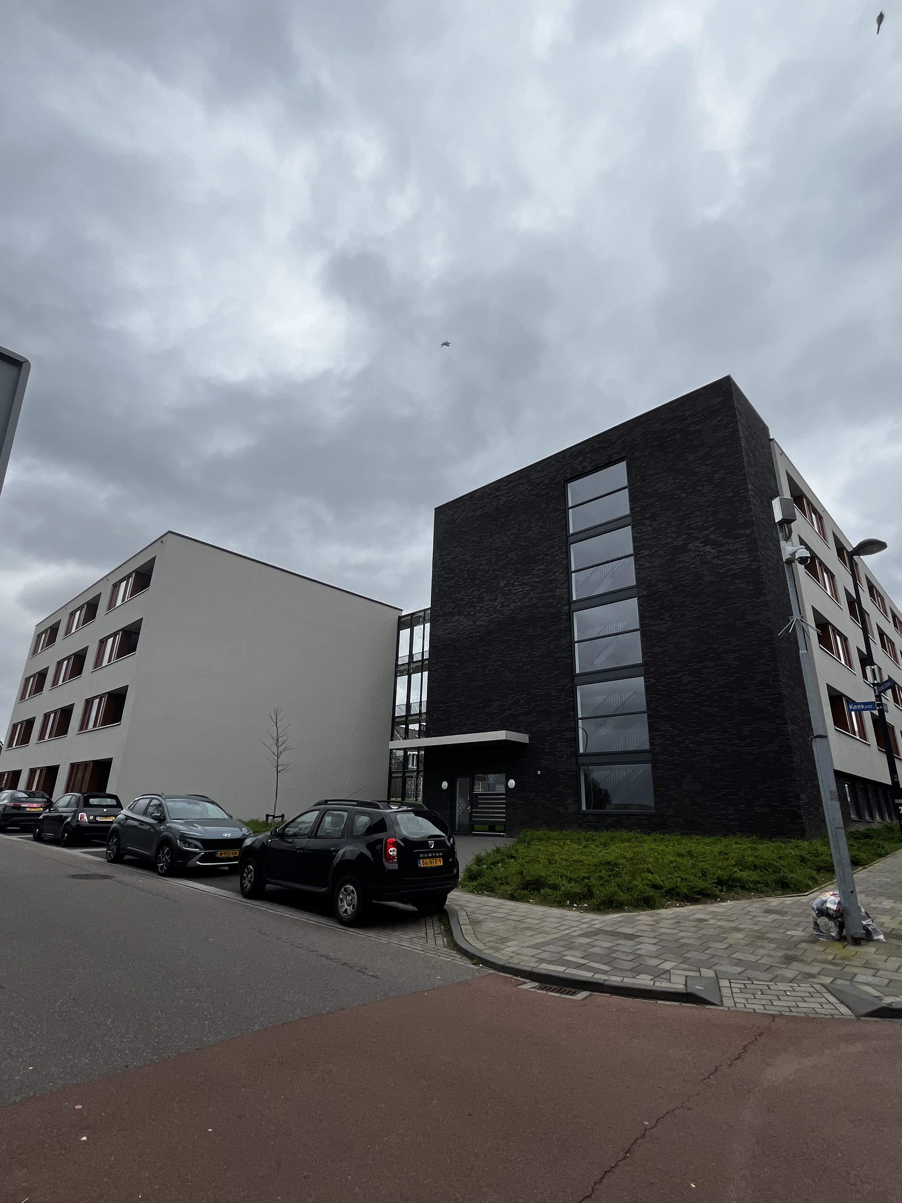 Afbeelding 1 van 1