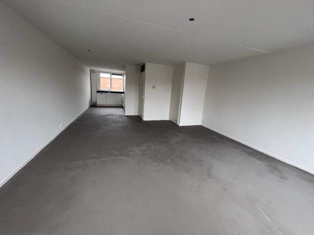 Image 2 of 12