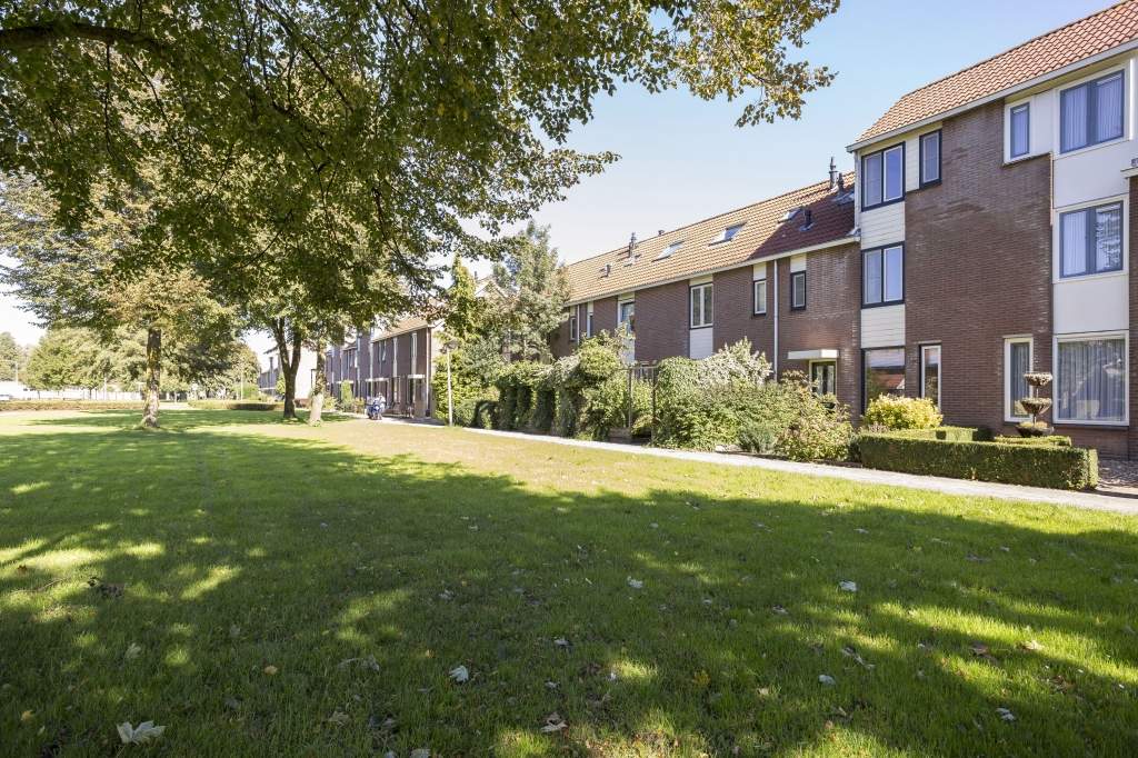Afbeelding 3 van 28