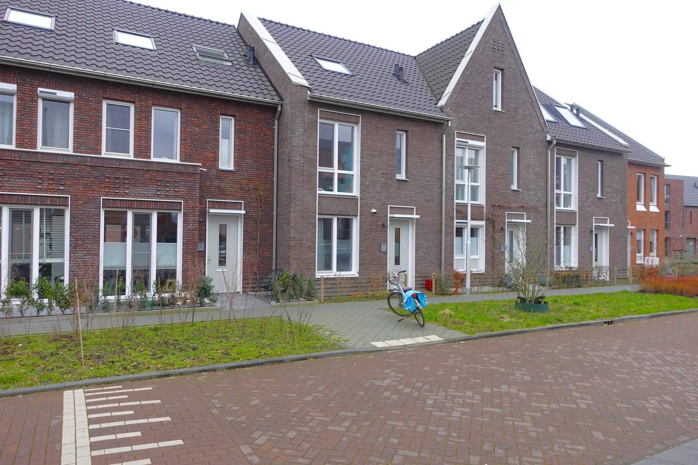 Afbeelding 1 van 12