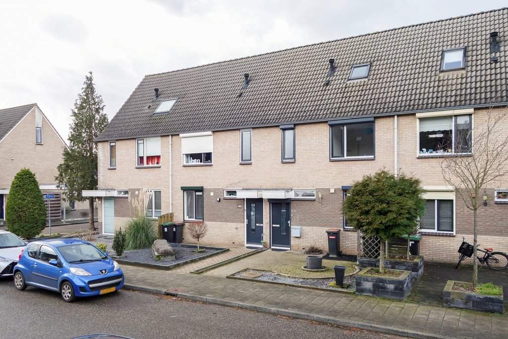 Afbeelding 1 van 12