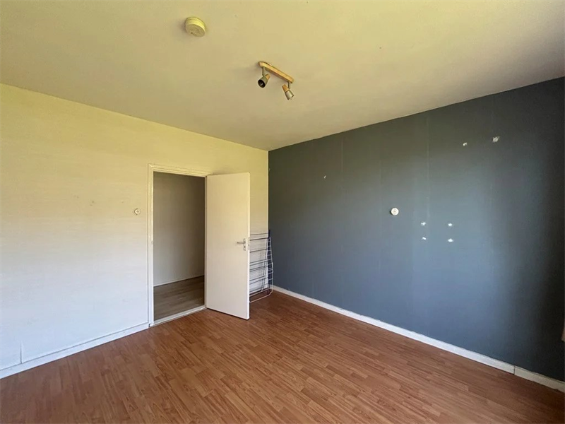 Image 2 of 12