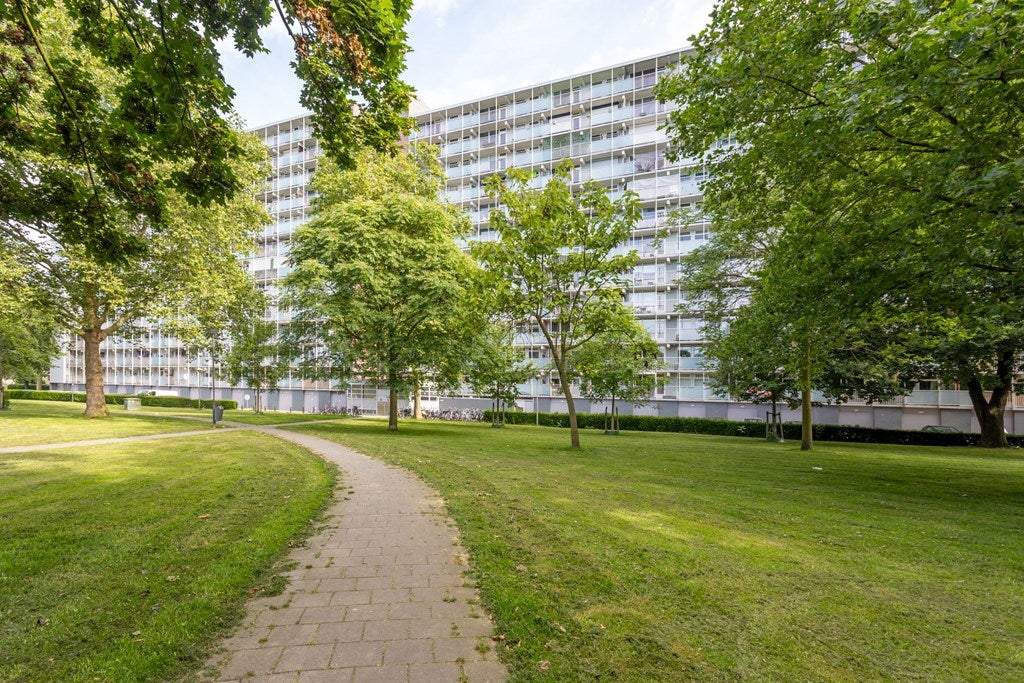 Afbeelding 3 van 21