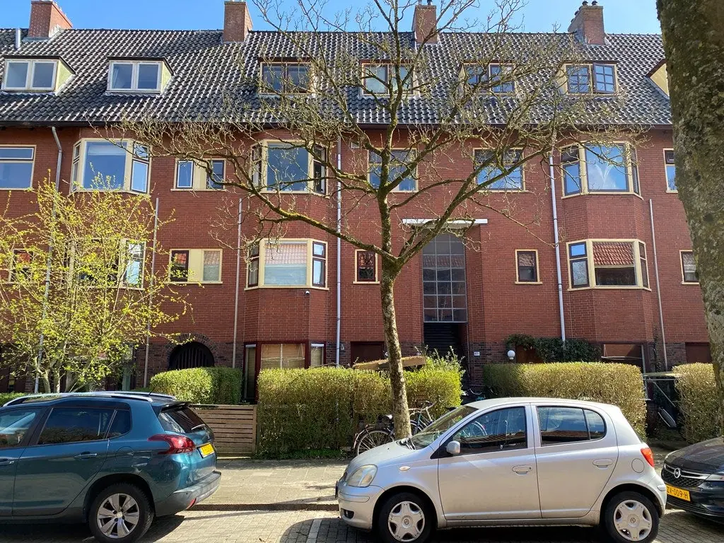 Afbeelding 1 van 11