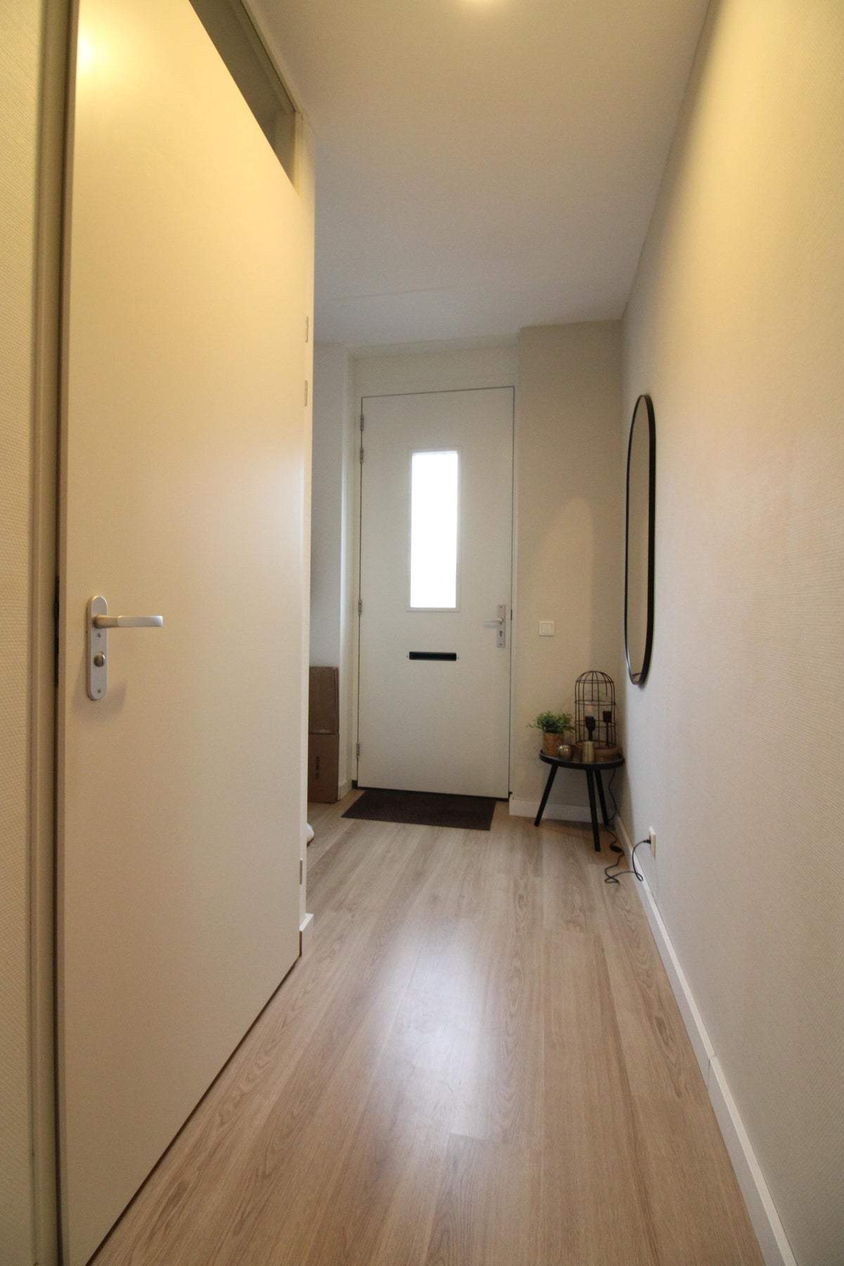 Image 3 of 22