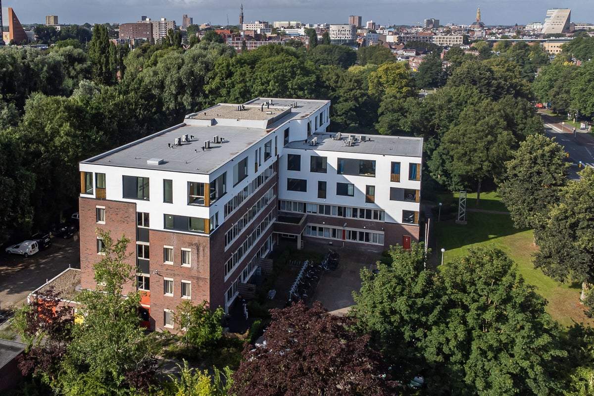 Afbeelding 1 van 7