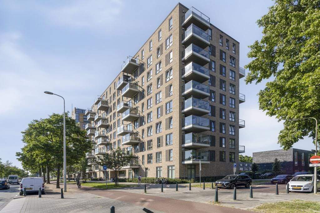 Afbeelding 3 van 12