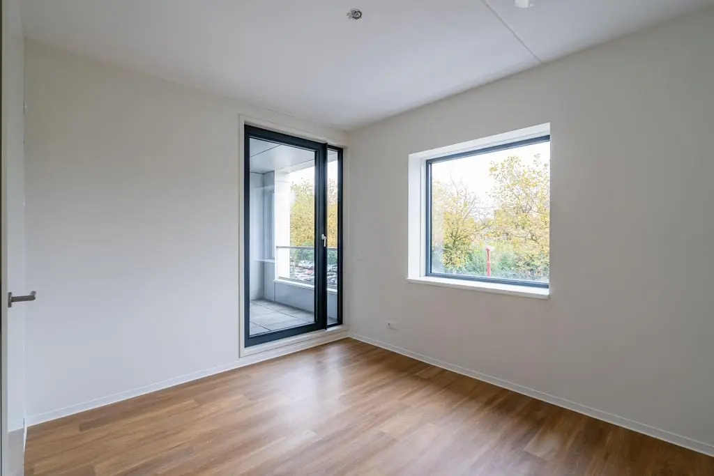 Image 19 of 20