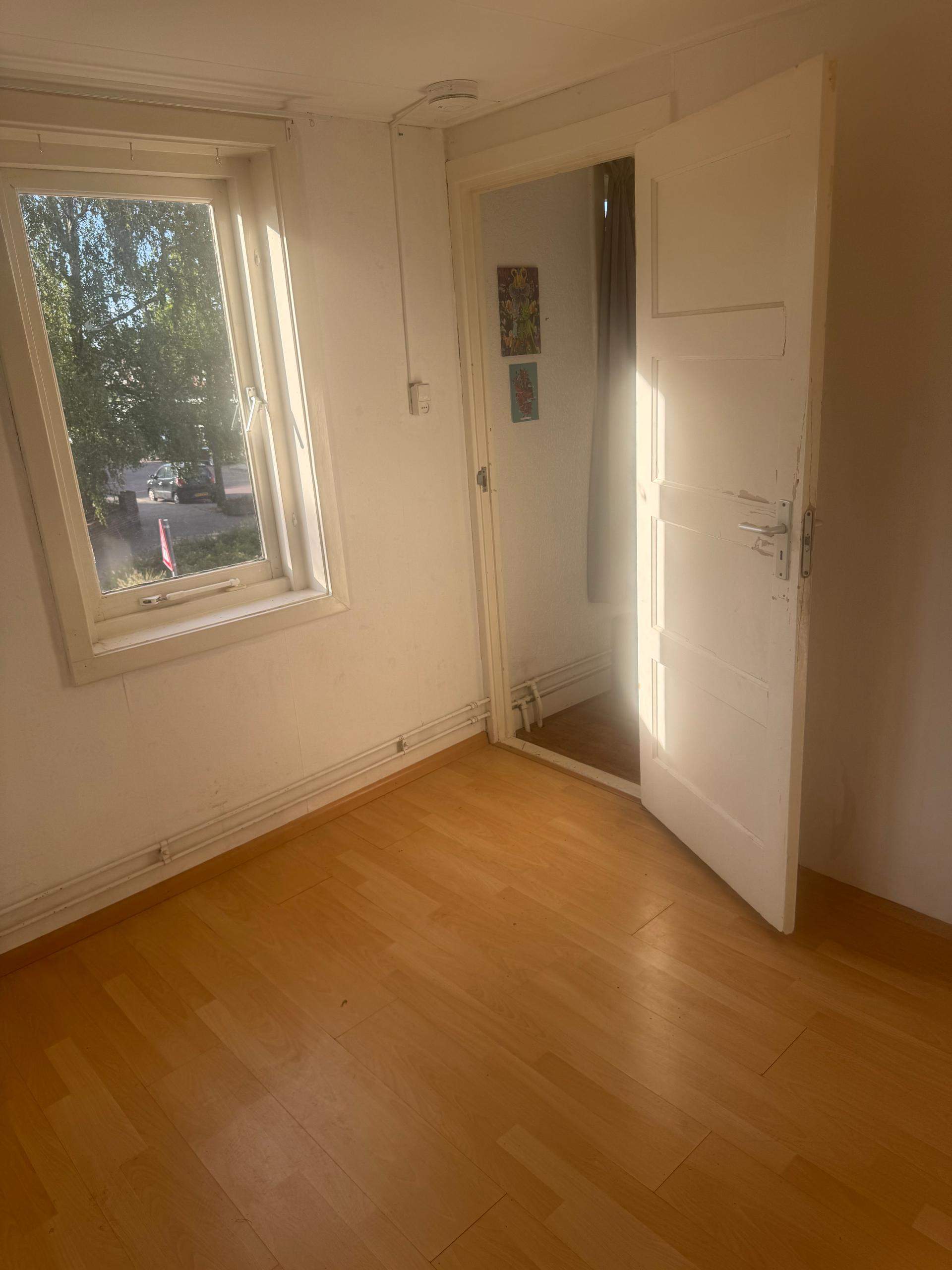 Bild 2 von 3
