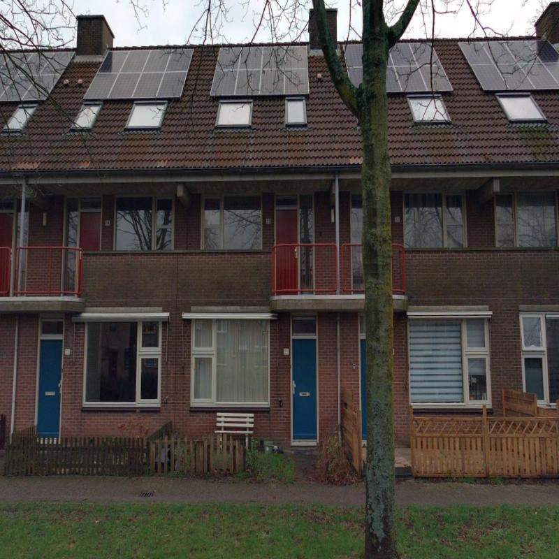 Afbeelding 4 van 4