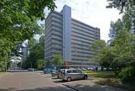 Afbeelding 2 van 5