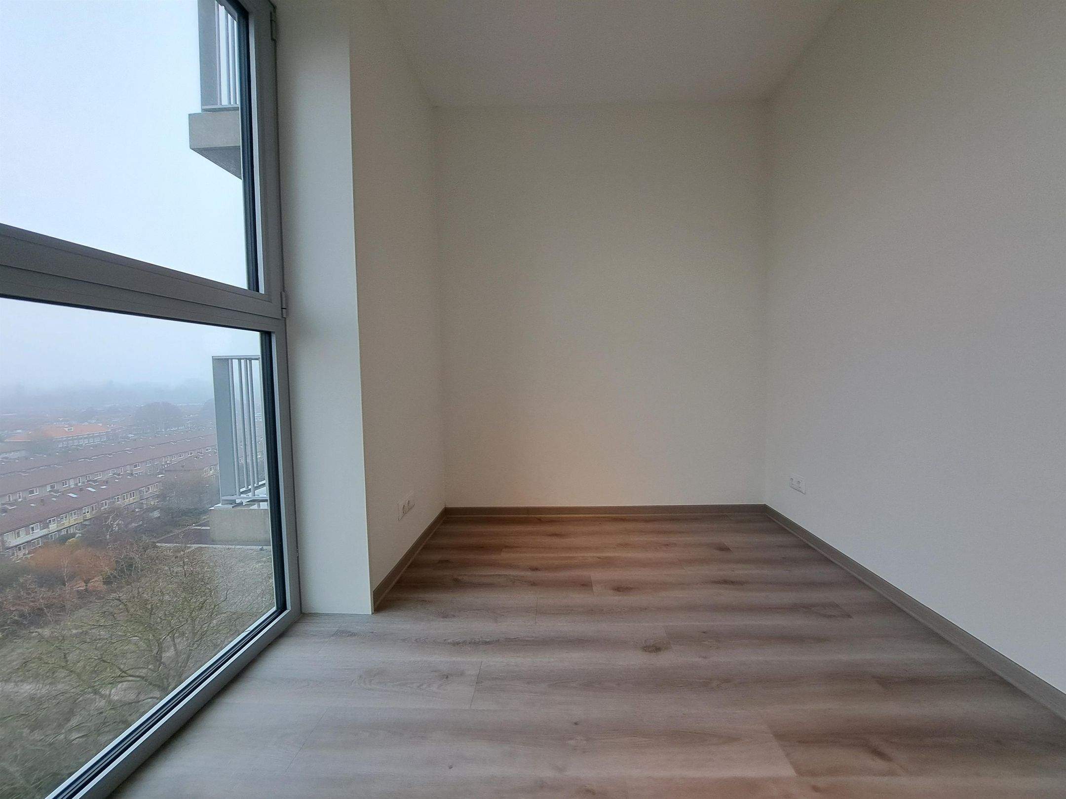 Bild 12 von 19