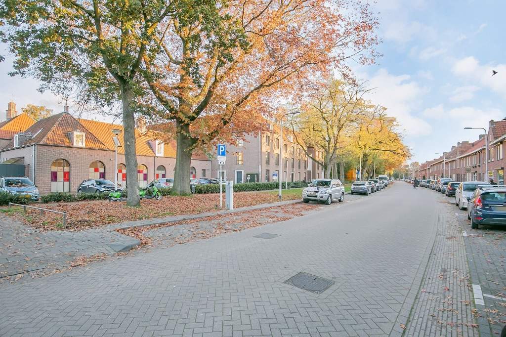 Afbeelding 3 van 40