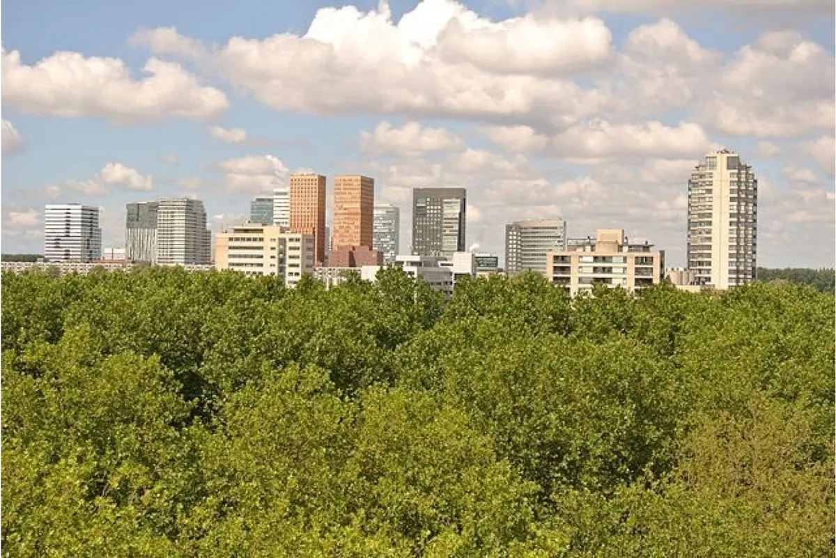 Image 12 of 16