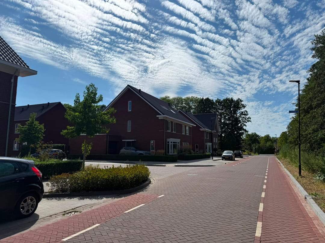 Afbeelding 2 van 8