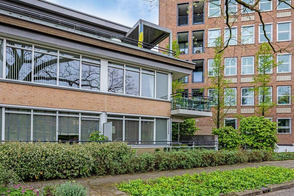 Afbeelding 3 van 31