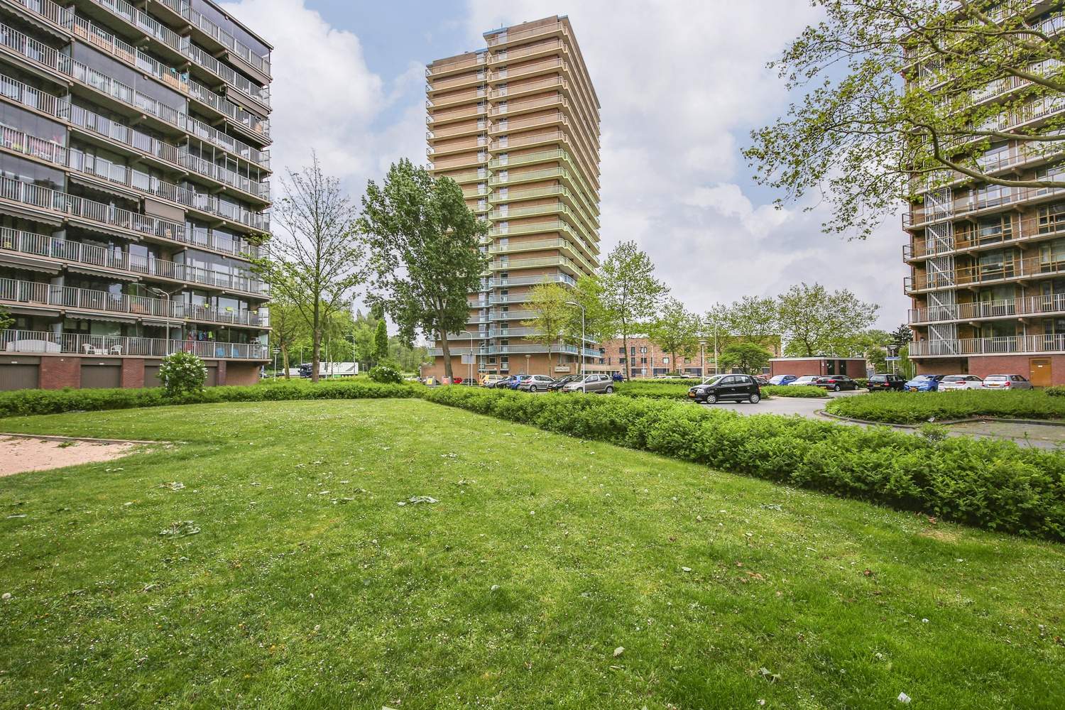 Afbeelding 2 van 9