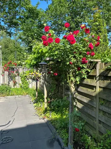 Habitación amueblada en Hesselinklanden, Enschede - En alquiler