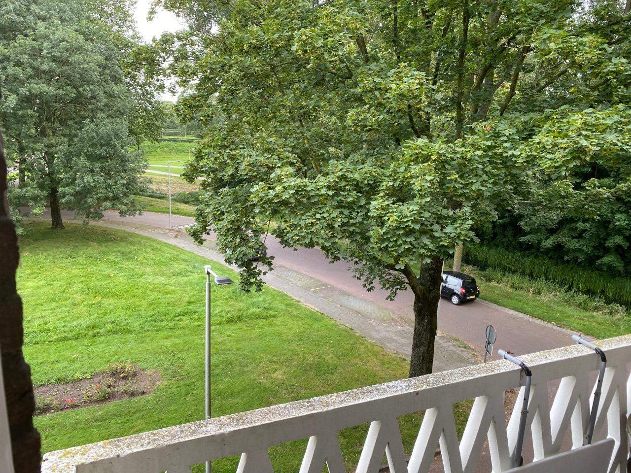 Afbeelding 1 van 7