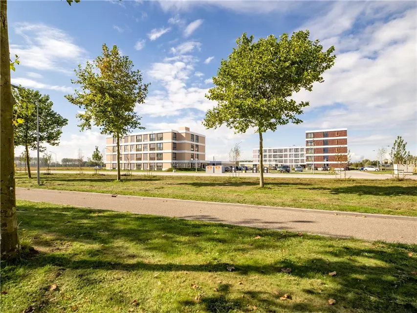 Afbeelding 2 van 8