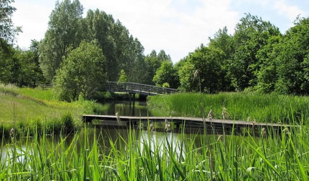 Image 29 of 30
