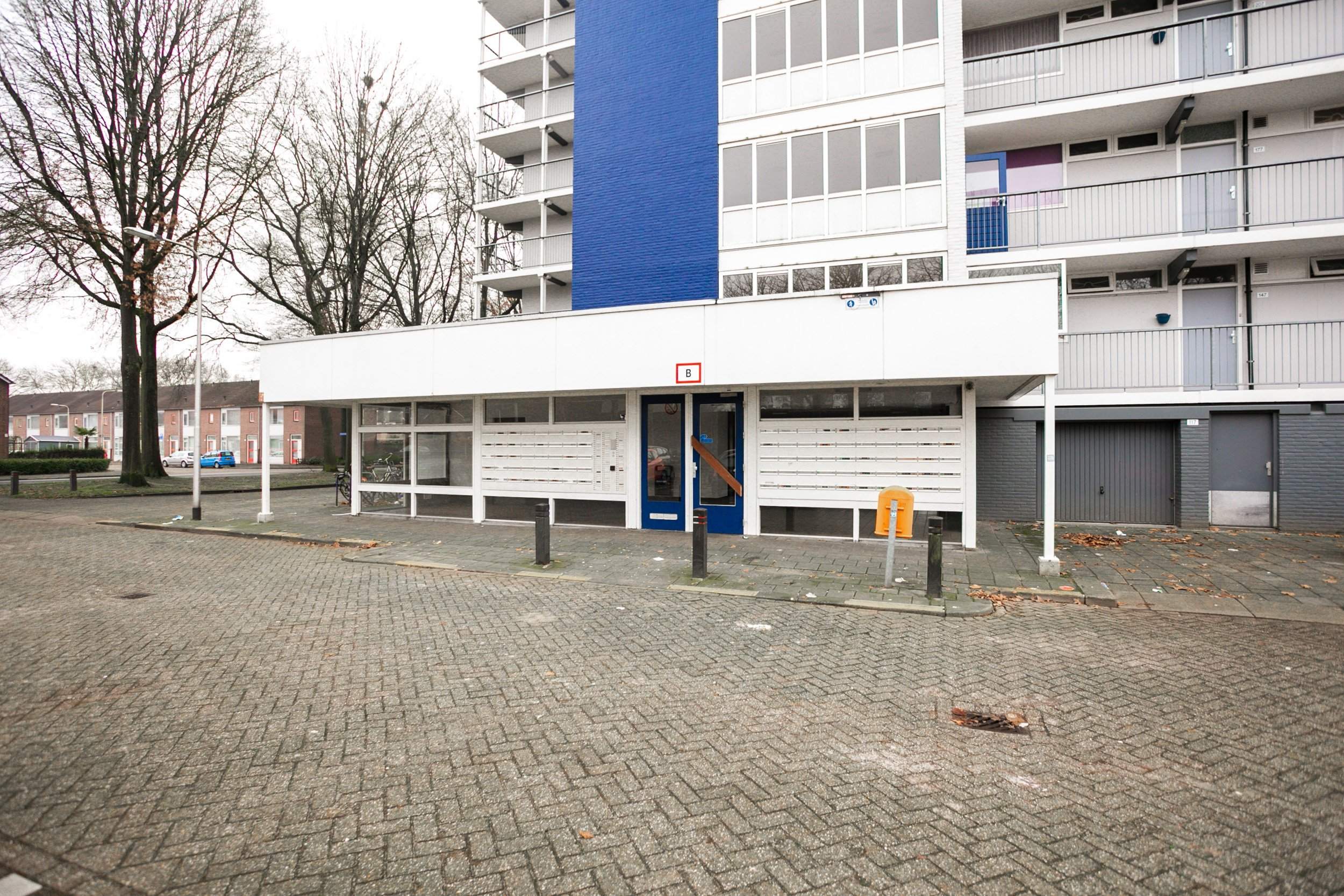 Bild 2 von 12